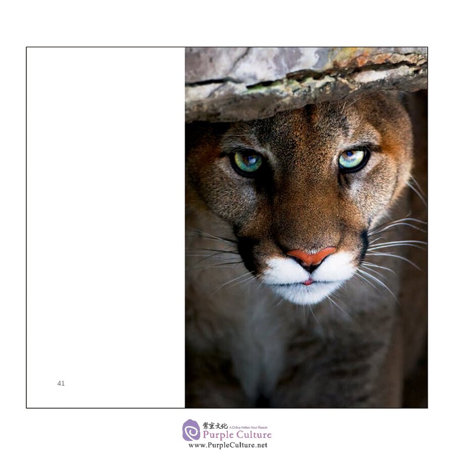 Sample pages of A Sence of Nature (ISBN:9787508538808)