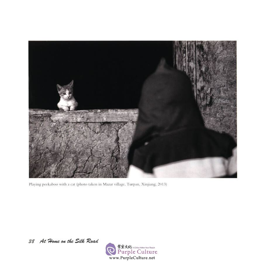 Sample pages of At Home On The Silk Road (ISBN:9787119107363)