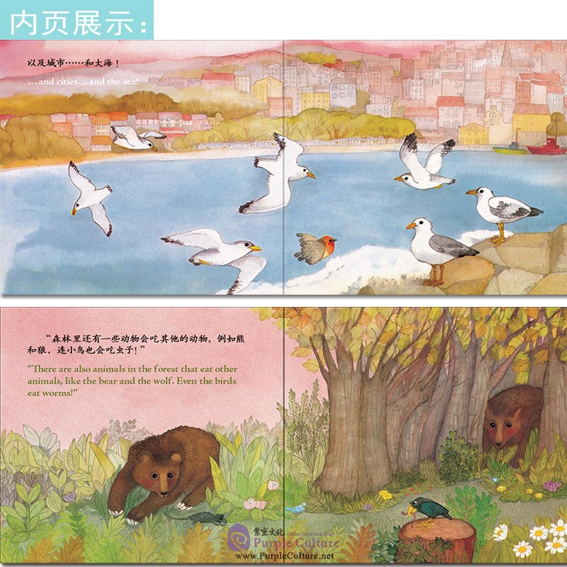 插图