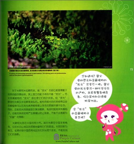 Sample pages of Little Dwarfs in the Kingdom of Plants (Bryophyte in Chinese-English Version) (ISBN:7535961193,9787535961198)