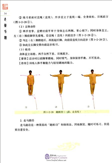 Sample pages of Textbook Series of Chinese Wushu Duanwei System: Wushu Gongfa (ISBN:9787040483598)