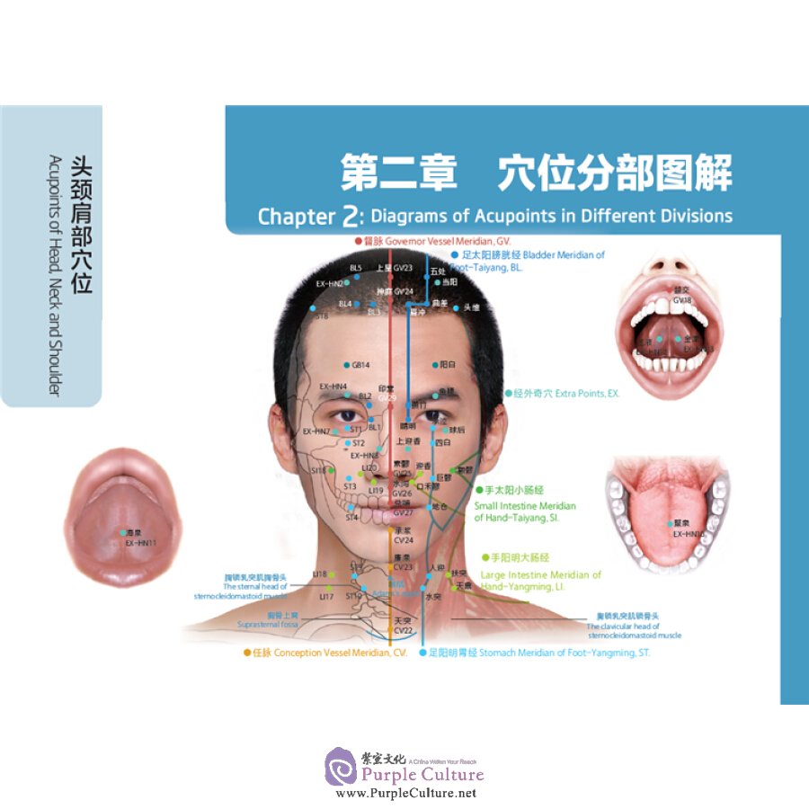 Sample pages of Three-dimension colored diagrams for meridins and acupoints (Chinese-English Edition) (ISBN:753355356X, 9787533553562)