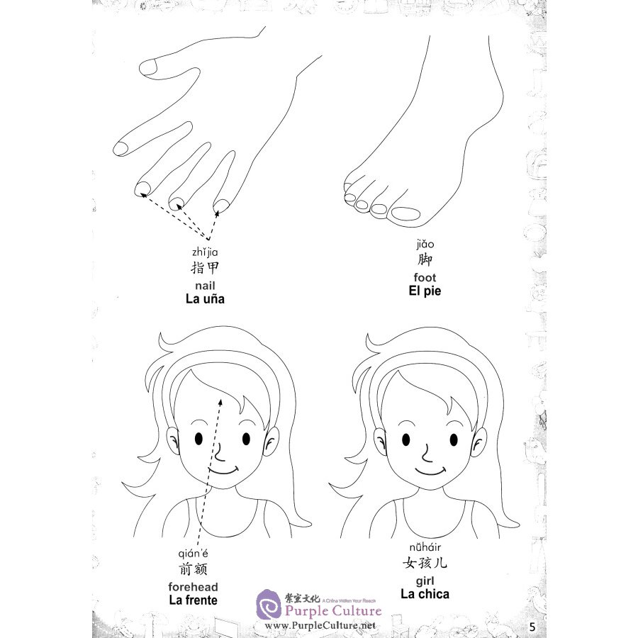 Sample pages of Coloring Book of Chinese Words (Chinese-English-Spanish) (ISBN:9787513814133, 7513814139)