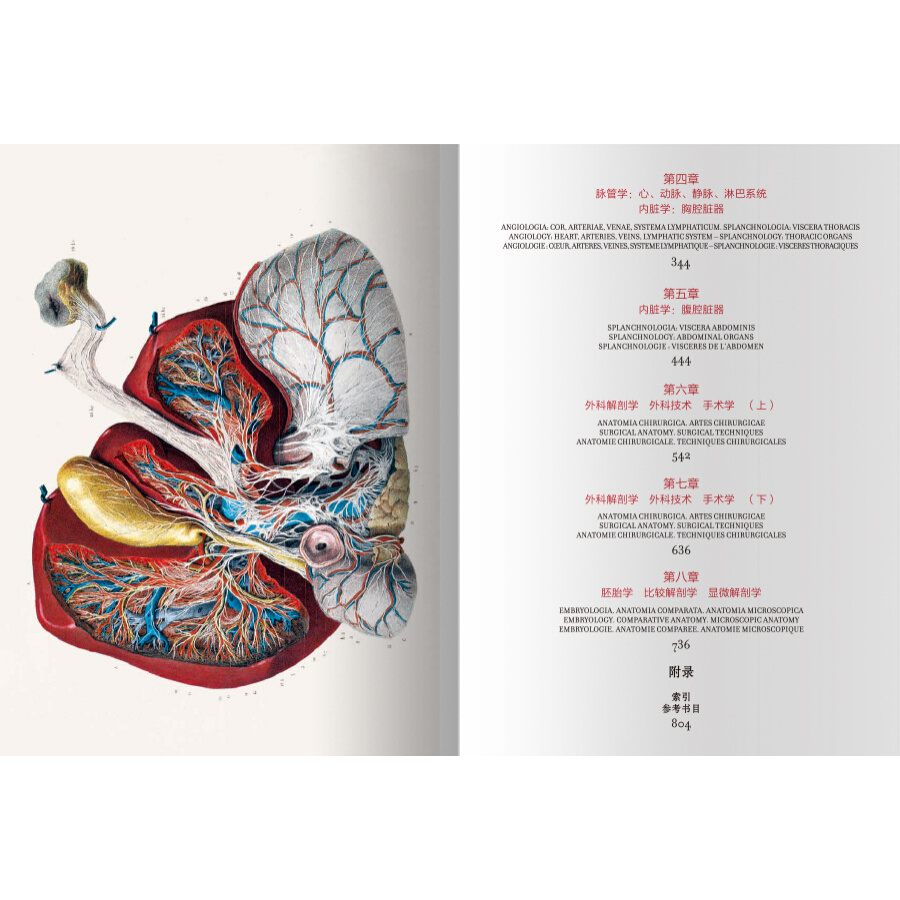 Sample pages of The atlas of human anatomy and surgery (ISBN:9787559200099)
