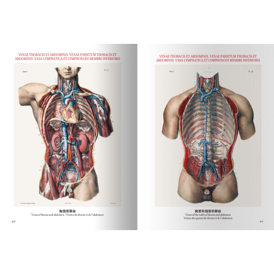 Sample pages of The atlas of human anatomy and surgery (ISBN:9787559200099)