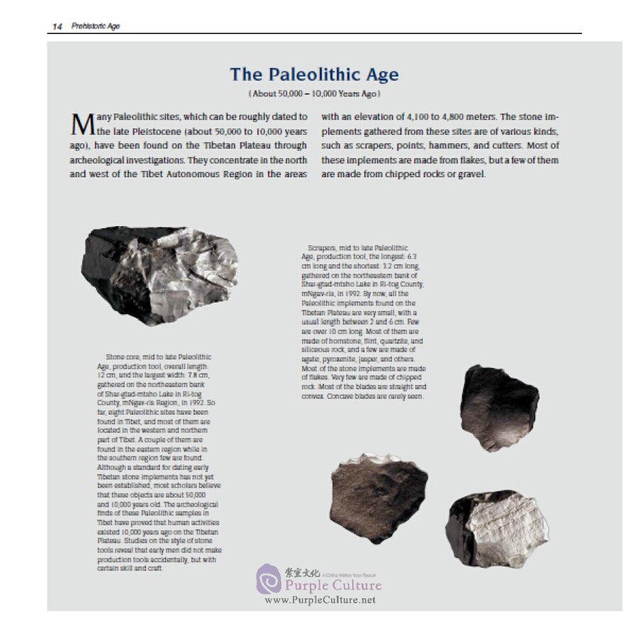 Sample pages of Historical Relics of Tibet, China: Precious Deposits (2 vols) (ISBN:9787505437593)