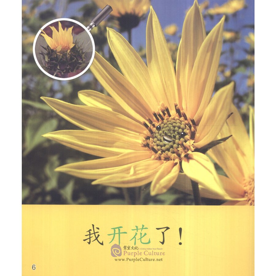 Sample pages of Cool Panda Chinese Teaching Resources for Young Learners: Level 1 Weather & Seasons (ISBN:9787040439694, 7040439697)
