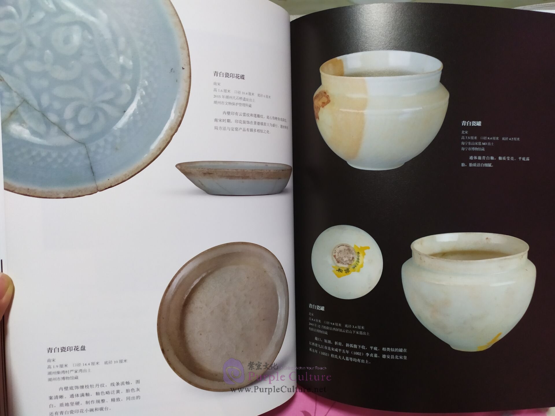 Sample pages of Song and Yuan Dynasty Qingbai Wares Excavated in Zhejiang Province (ISBN:9787514922301)