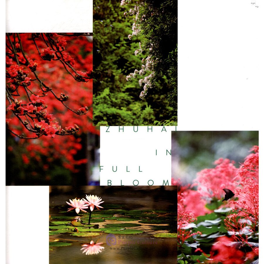 Sample pages of Multifaceted Zhu Hai: A Stunning View to the Future (ISBN:9787508541532)