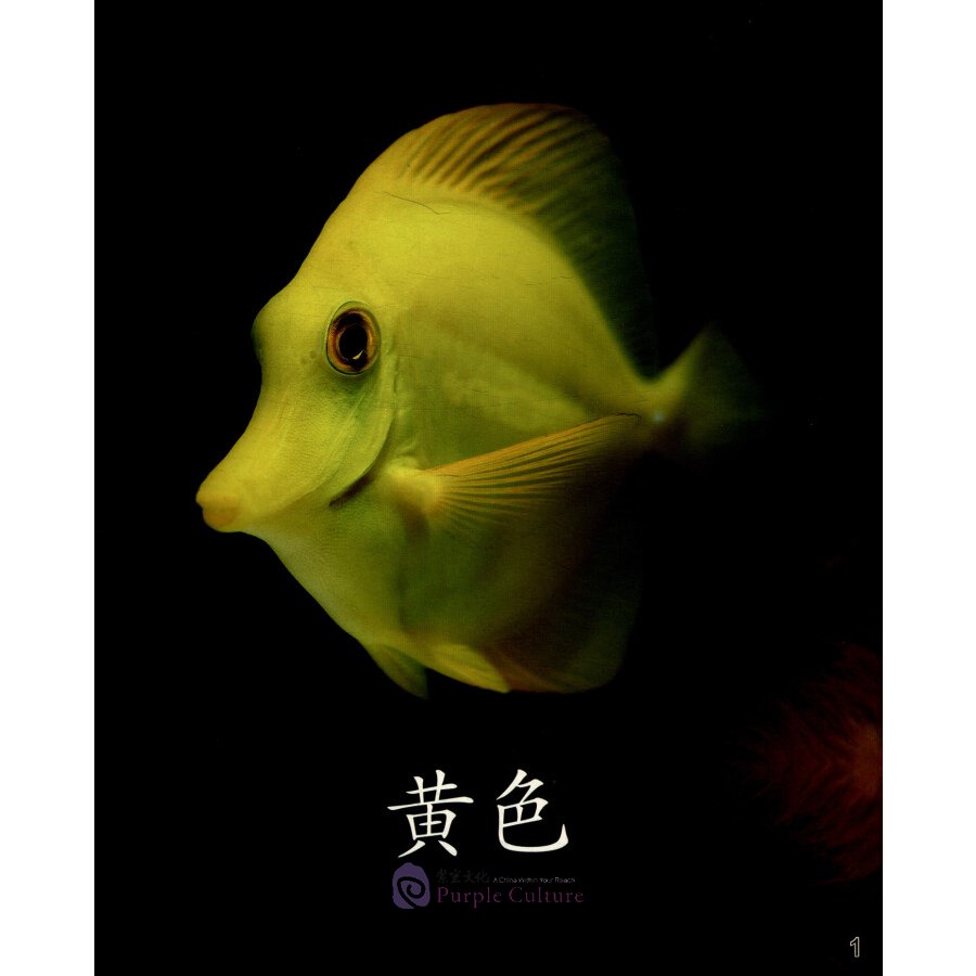 Sample pages of Cool Panda Chinese Teaching Resources for Young Learners: Level K Color: The Colors of the Fish (ISBN:9787040509779)