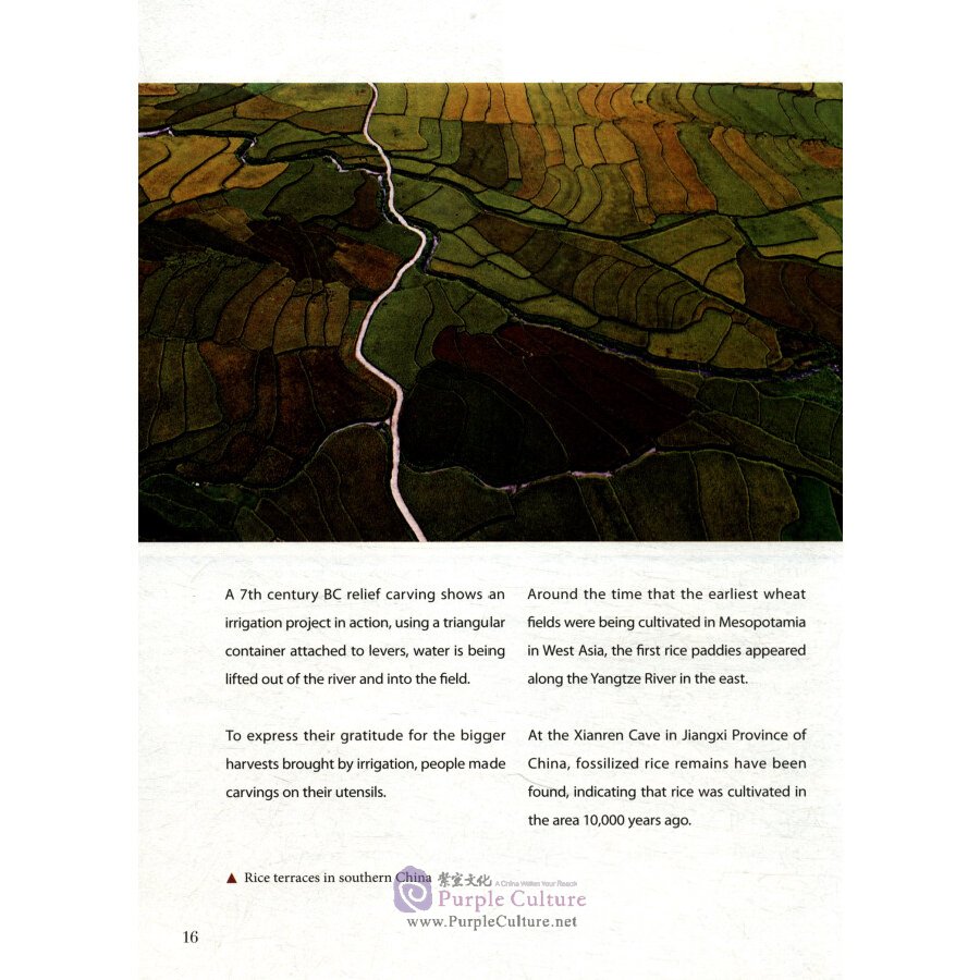 Sample pages of Asia and the Lights of Civilization (ISBN:9787119121130)