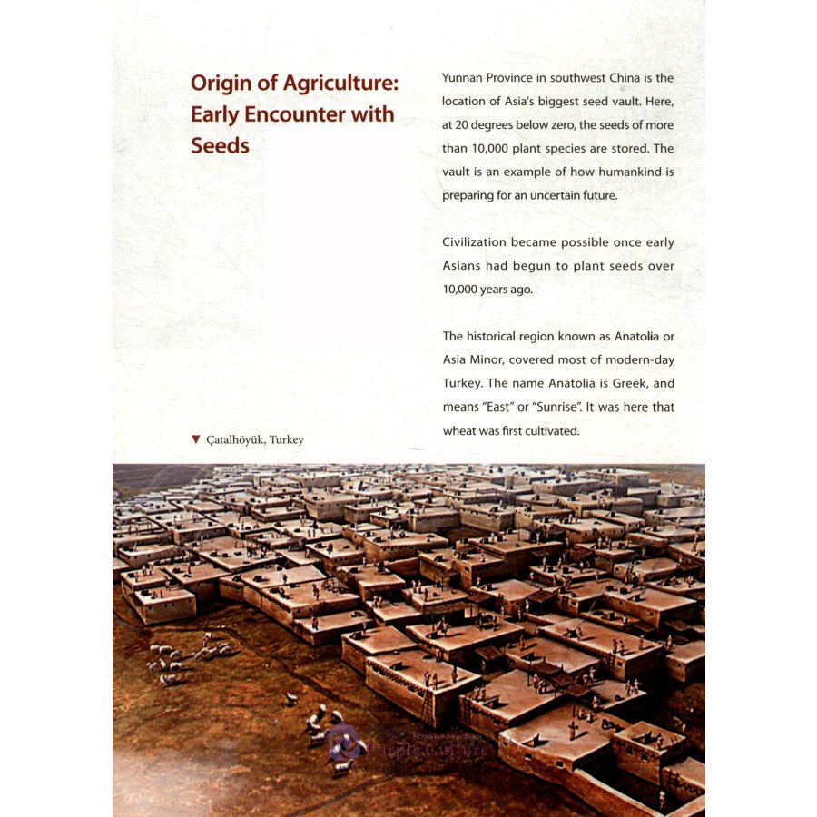 Sample pages of Asia and the Lights of Civilization (ISBN:9787119121130)