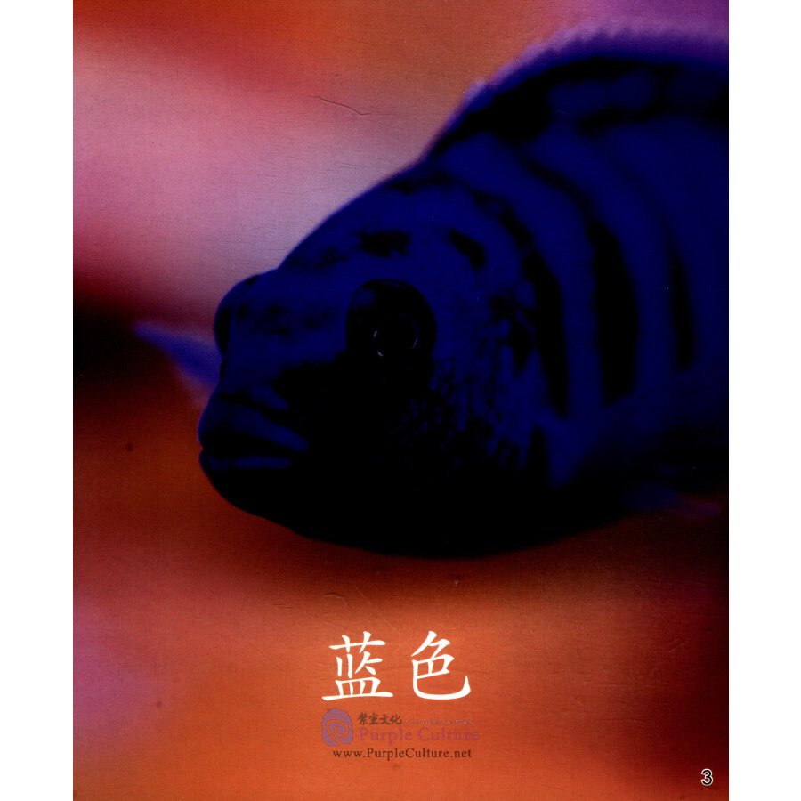 Sample pages of Cool Panda Chinese Teaching Resources for Young Learners: Level K Color: The Colors of the Fish (ISBN:9787040509779)