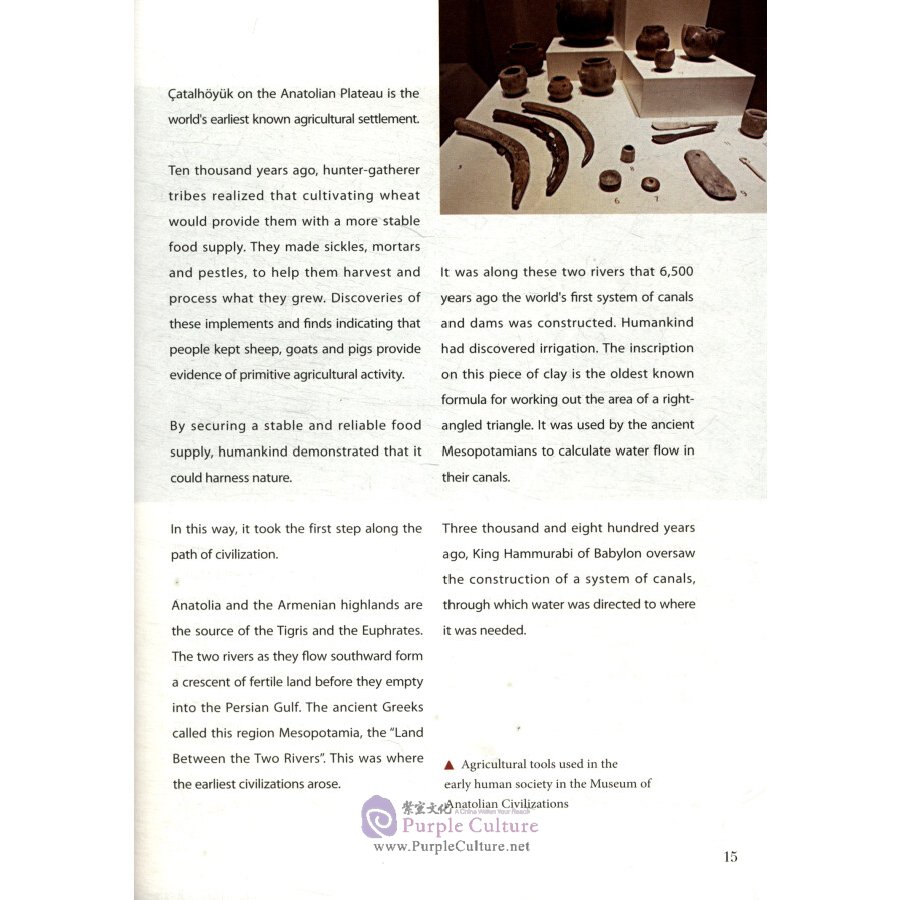 Sample pages of Asia and the Lights of Civilization (ISBN:9787119121130)