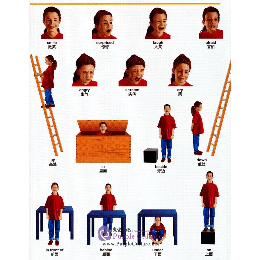 Sample pages of My First Visual Dictionary English & Chinese Bilingual (ISBN:9787513548793)