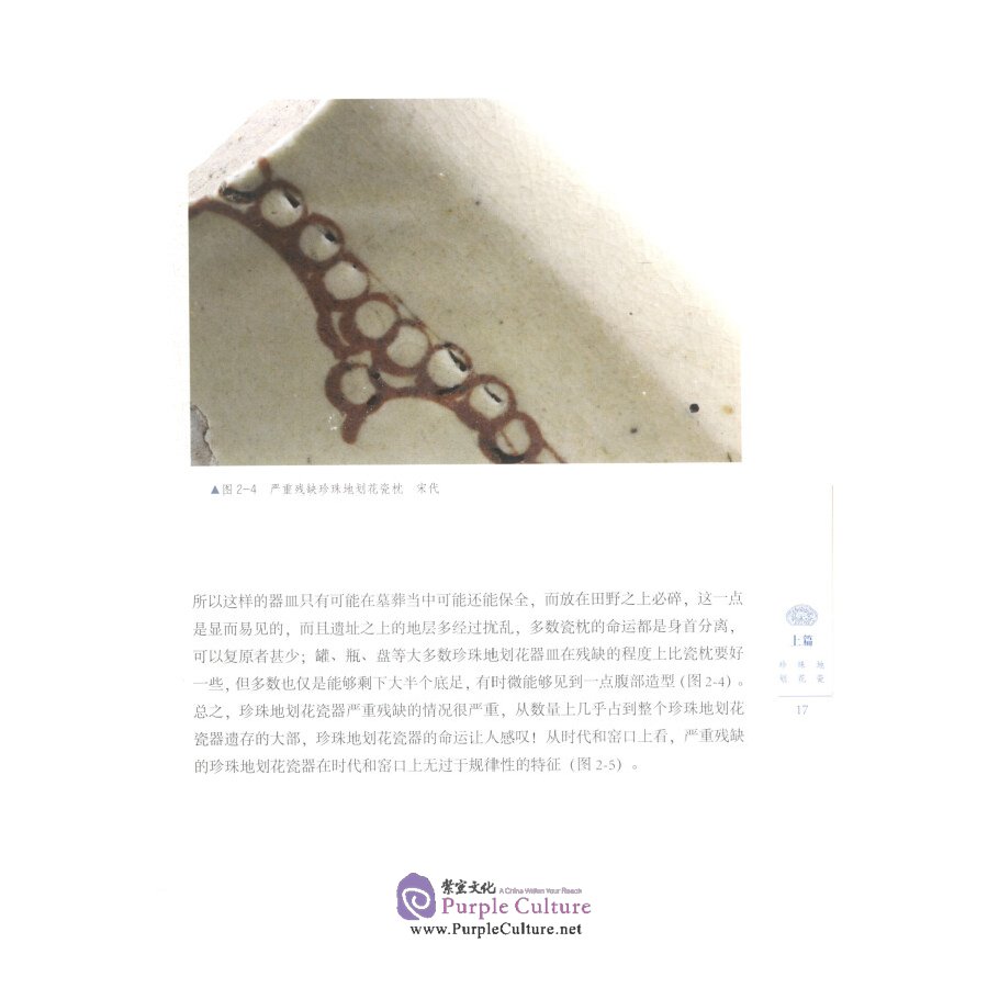 Sample pages of Ancient Chinese Porcelain Identification Notes: Coloured Glazes (ISBN:9787548063858)