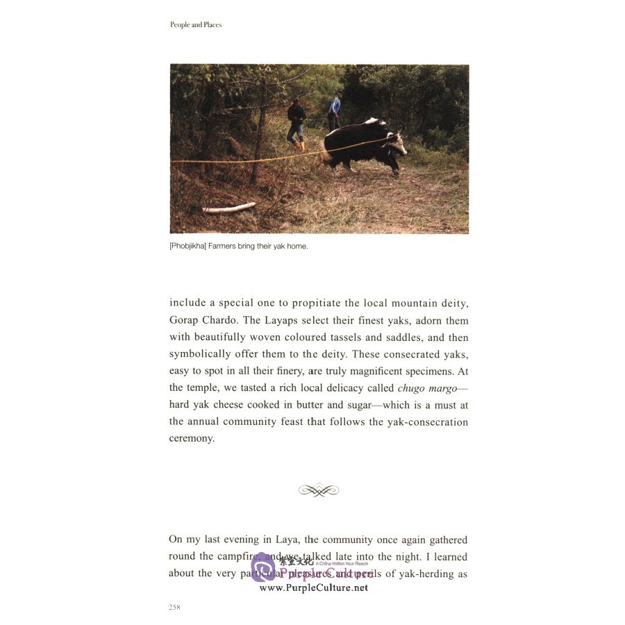 Sample pages of Treasures of the Thunder Dragon A Portrait of Bhutan (ISBN:9787508543215)