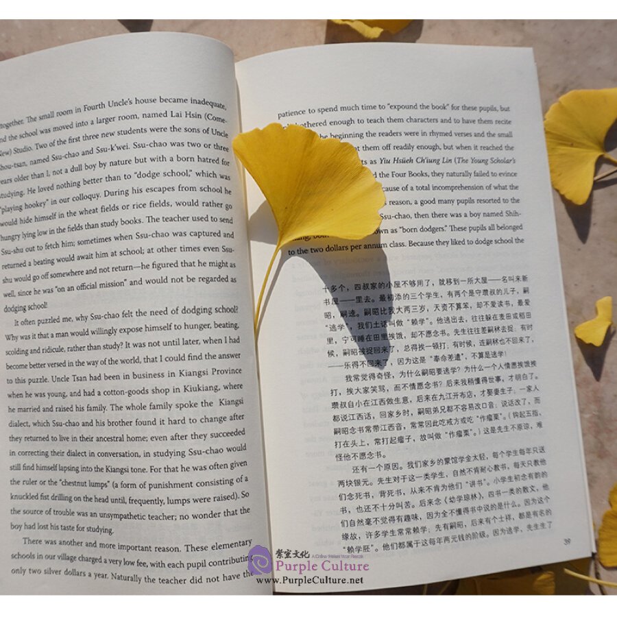 Sample pages of Autobiography at Forty (ISBN:9787513574297)