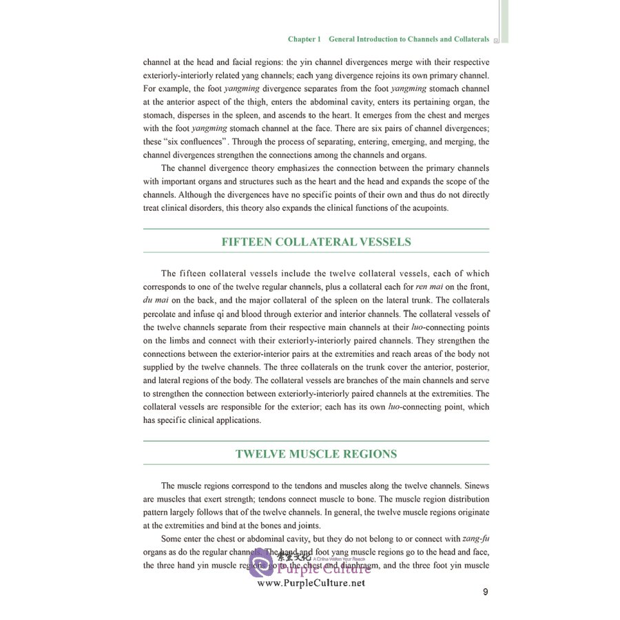 Sample pages of English Textbook Series of Shanghai University of Traditional Chinese Medicine: Channels-Collaterals and Acupoints (ISBN:9787117311892)