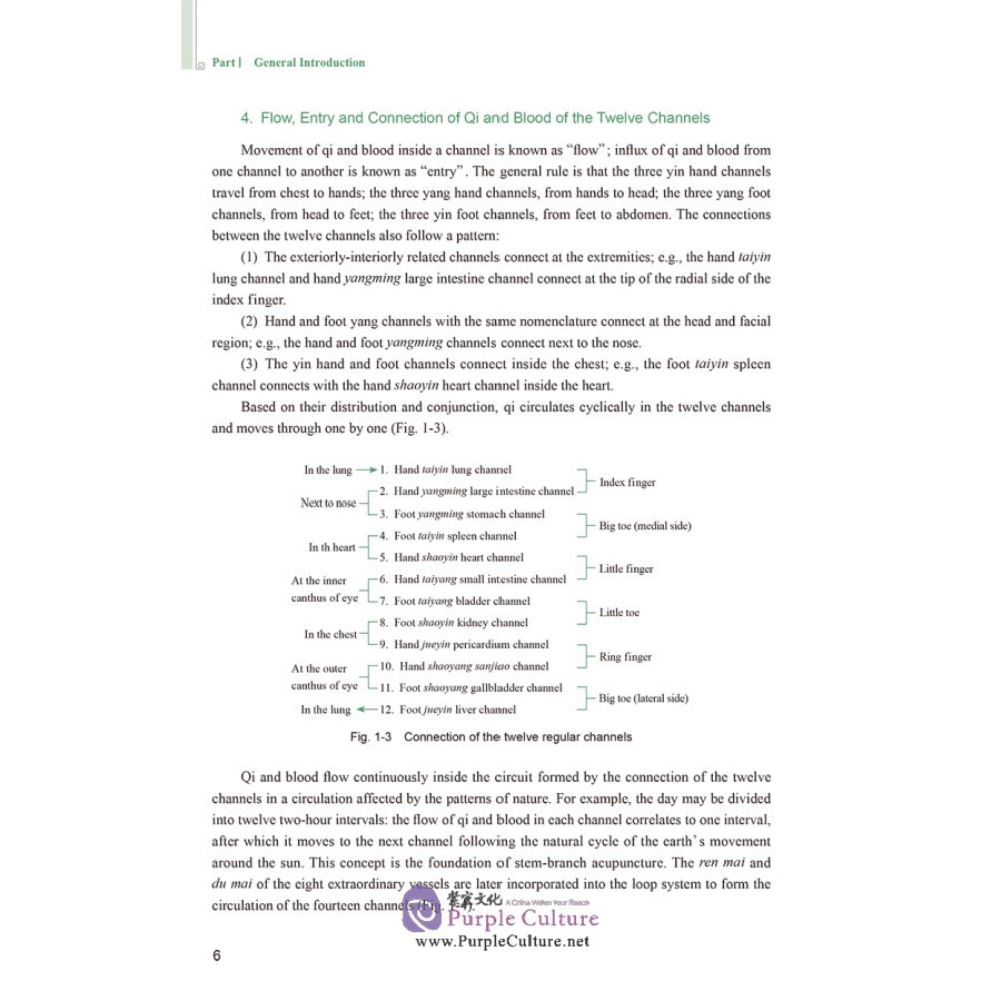 Sample pages of English Textbook Series of Shanghai University of Traditional Chinese Medicine: Channels-Collaterals and Acupoints (ISBN:9787117311892)