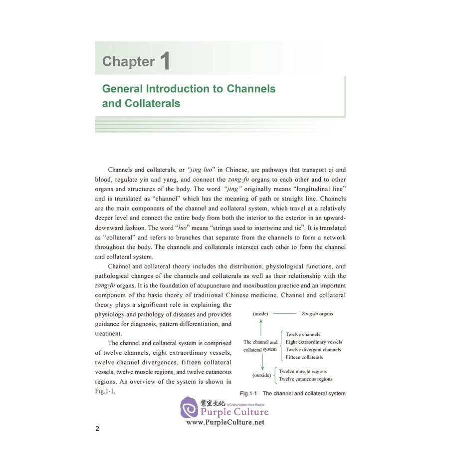 Sample pages of English Textbook Series of Shanghai University of Traditional Chinese Medicine: Channels-Collaterals and Acupoints (ISBN:9787117311892)