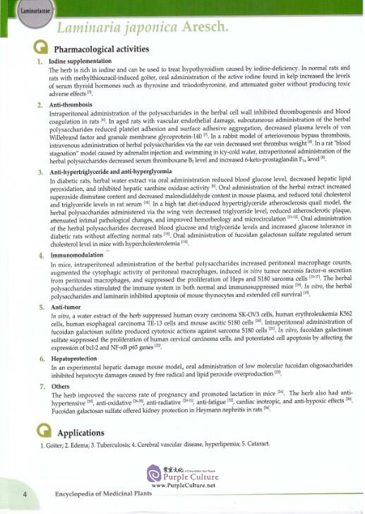 Sample pages of Encyclopedia of Medicinal Plants Vol 2 (ISBN:978751000967921)