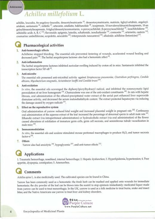 Sample pages of Encyclopedia of Medicinal Plants Vol 3 (ISBN:9787510017599)