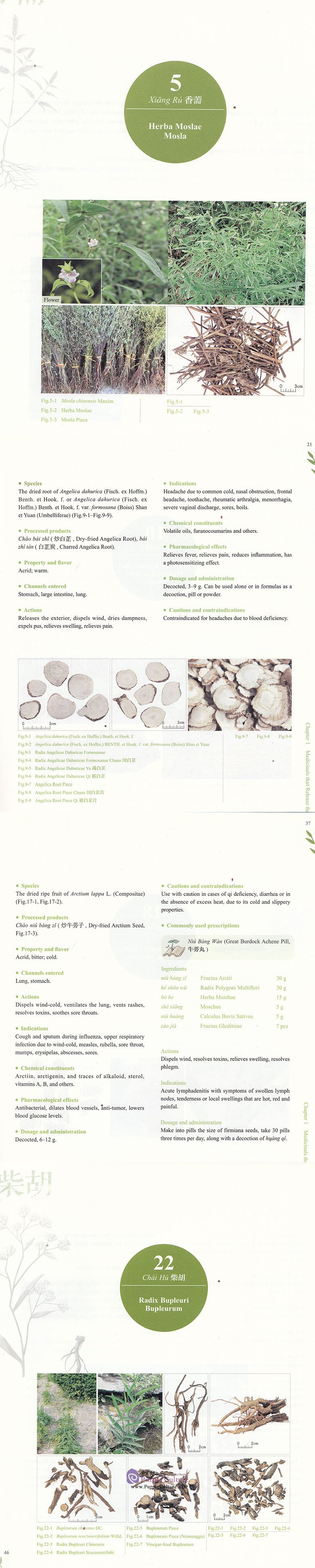 Sample pages of An Illustrated Manual of the Commonly Used Chinese Materia Medica (2nd Edition) (ISBN:9787117268387)