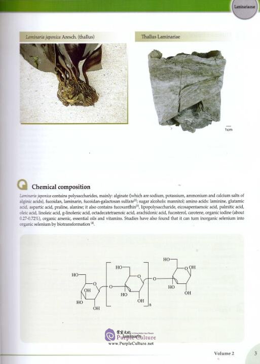 Sample pages of Encyclopedia of Medicinal Plants Vol 2 (ISBN:978751000967921)