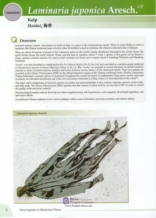 Sample pages of Encyclopedia of Medicinal Plants Vol 2 (ISBN:978751000967921)