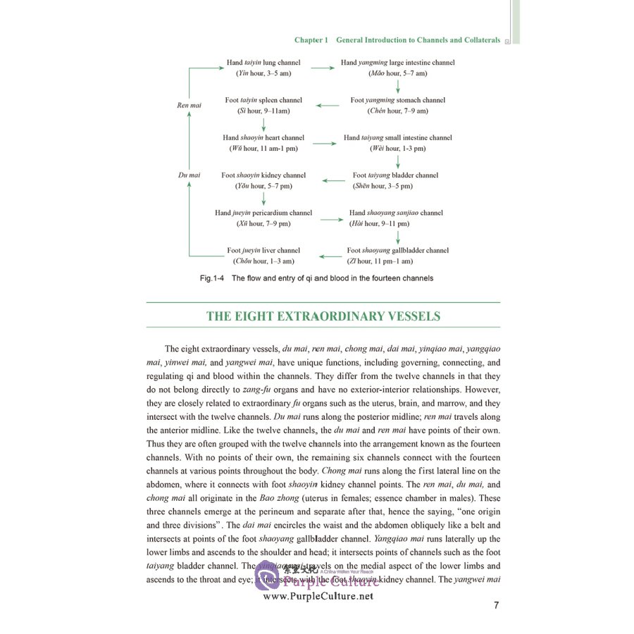 Sample pages of English Textbook Series of Shanghai University of Traditional Chinese Medicine: Channels-Collaterals and Acupoints (ISBN:9787117311892)