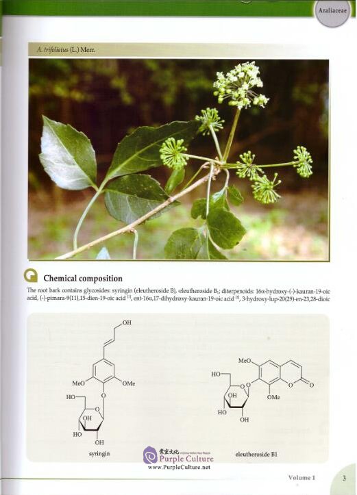 Sample pages of Encyclopedia of Medicinal Plants Vol 1 (ISBN:9787510009686)