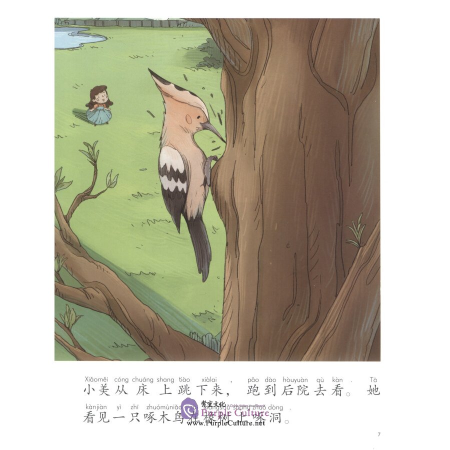 Sample pages of My First Chinese Storybooks - The Stories of Xiaomei: The Woodpecker on the Oak Tree (ISBN:9787513820738)