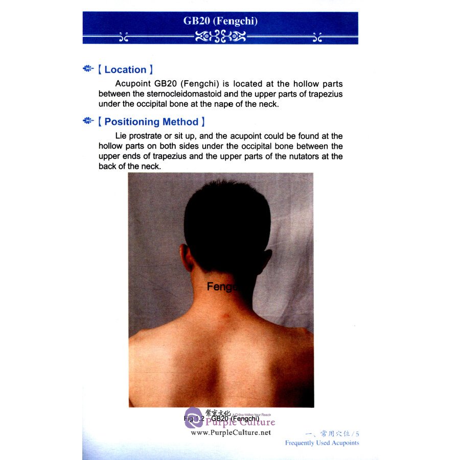 Sample pages of Traditional Chinese Tuina Exercises for Neck, Shoulde and Waist (ISBN:9787513241106)