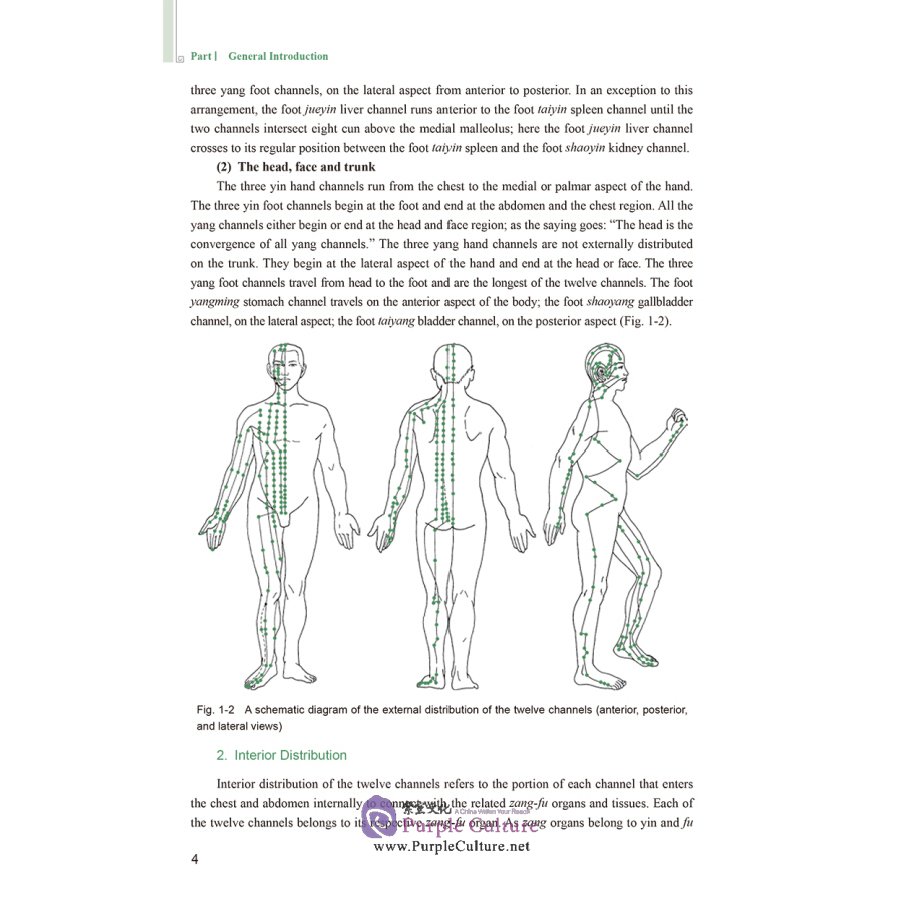 Sample pages of English Textbook Series of Shanghai University of Traditional Chinese Medicine: Channels-Collaterals and Acupoints (ISBN:9787117311892)