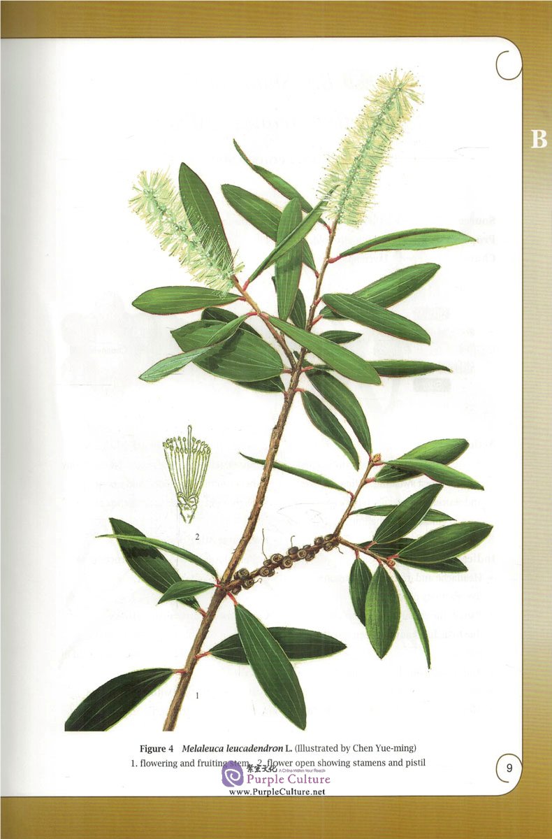 Sample pages of A Concise Illustrated Atlas of Chinese Materia Medica (ISBN:9787117207485)