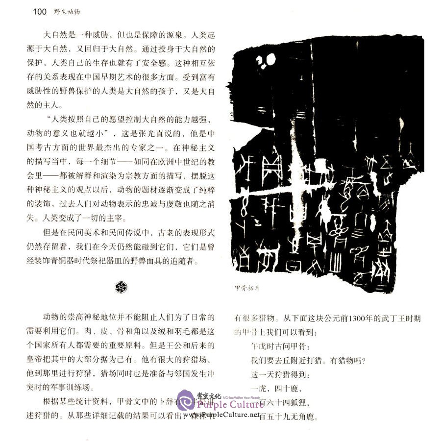 Sample pages of The Kingdom of Chinese Characters (ISBN:710206974X,  9787102069746)