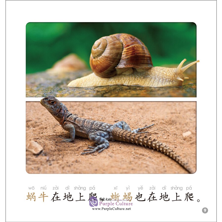 Sample pages of Rainbow Dragon: Graded Chinese Readers (Level 2: Animals) (5 Volumes) (ISBN:9787521314489)