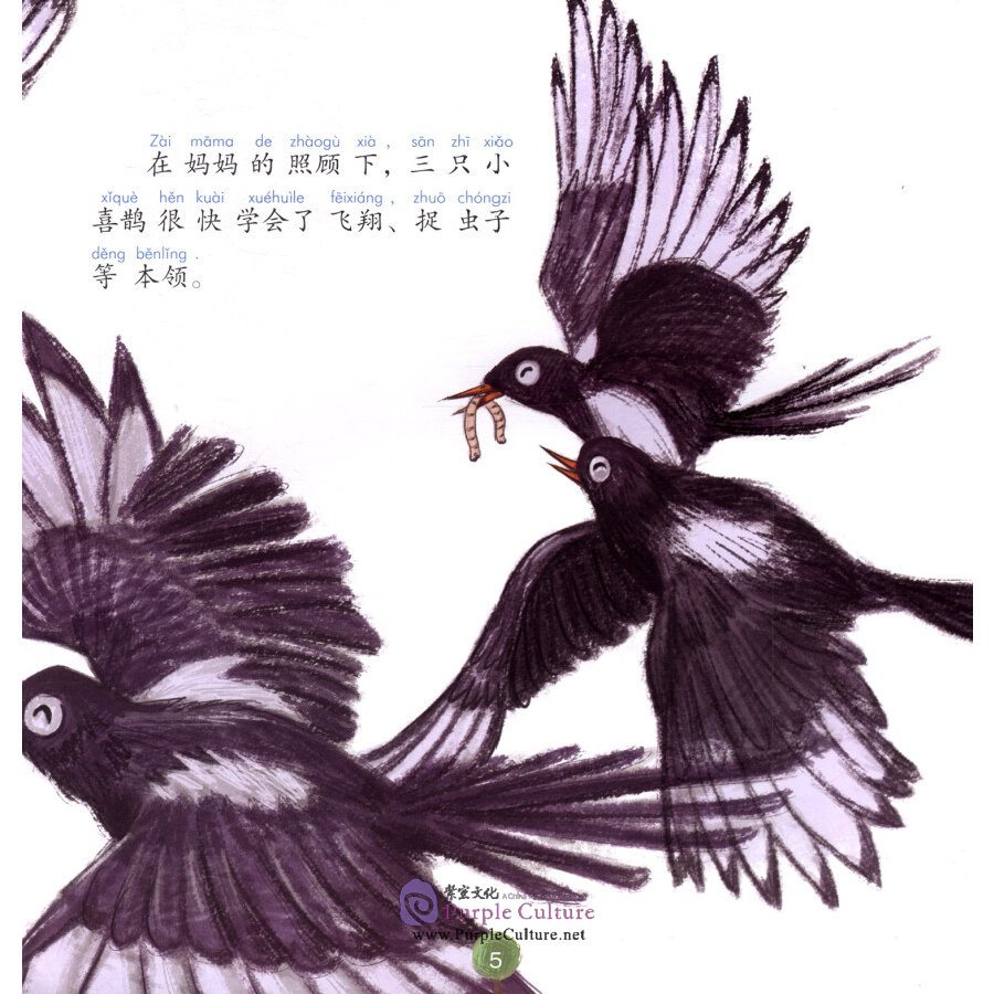 Sample pages of Chinese Virtue Stories: Level 1 The Little Magpie (ISBN:9787513817608)