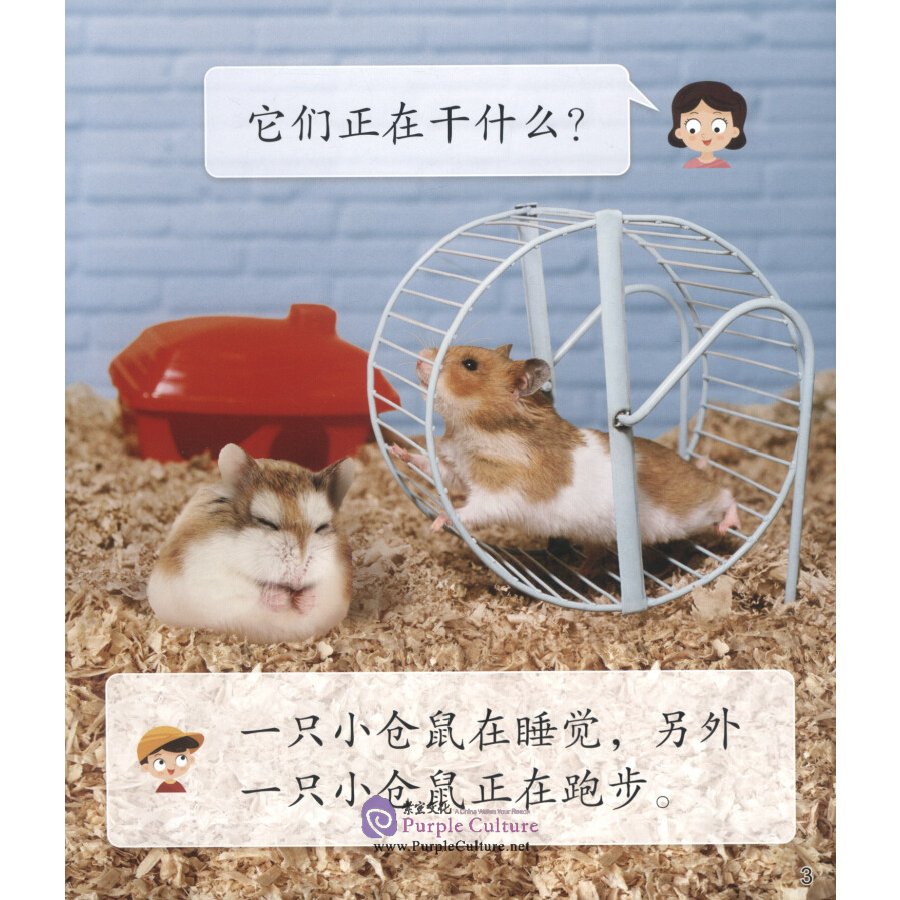 Sample pages of Cool Panda Chinese Teaching Resources for Young Learners: Level 3 Animals (4 books) (ISBN:9787040537147)