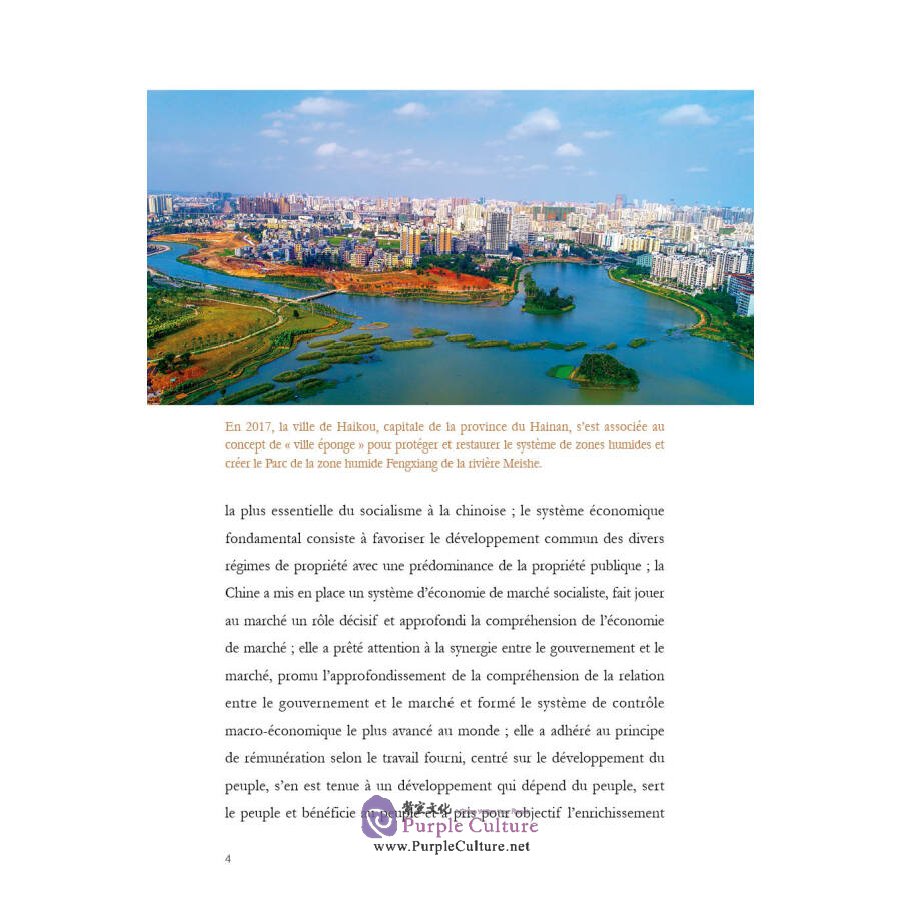 Sample pages of L'economie De La Chine Contemporaine (ISBN:9787508544038)
