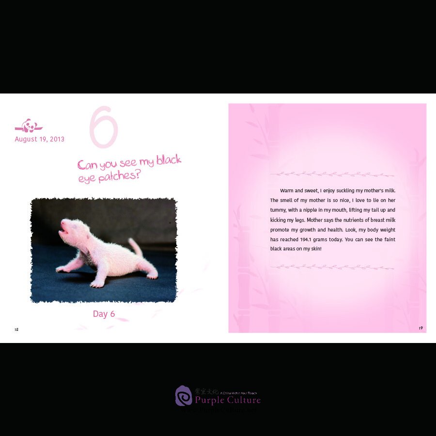 Sample pages of Oh, Grow Up: A Giant Panda's Story (ISBN:9787508544854)