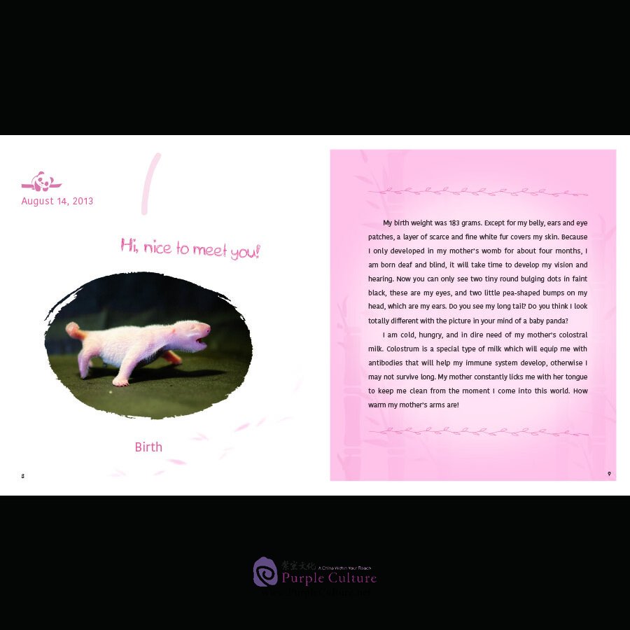 Sample pages of Oh, Grow Up: A Giant Panda's Story (ISBN:9787508544854)