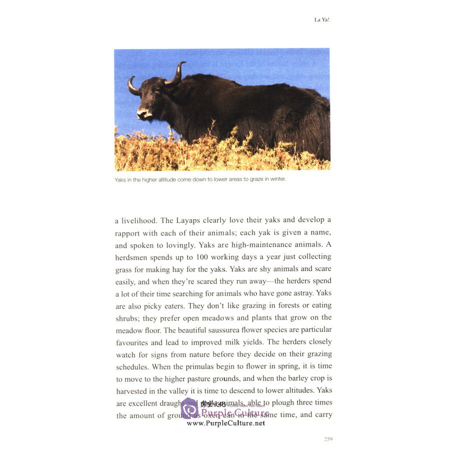 Sample pages of Treasures of the Thunder Dragon A Portrait of Bhutan (ISBN:9787508543215)