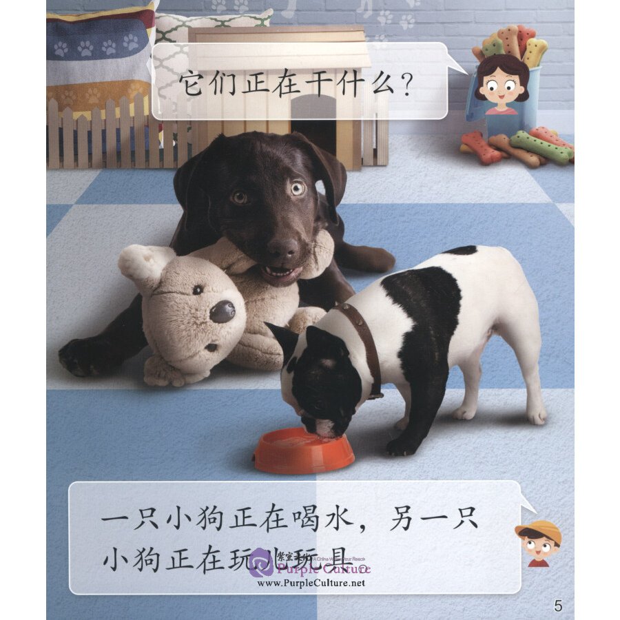 Sample pages of Cool Panda Chinese Teaching Resources for Young Learners: Level 3 Animals (4 books) (ISBN:9787040537147)