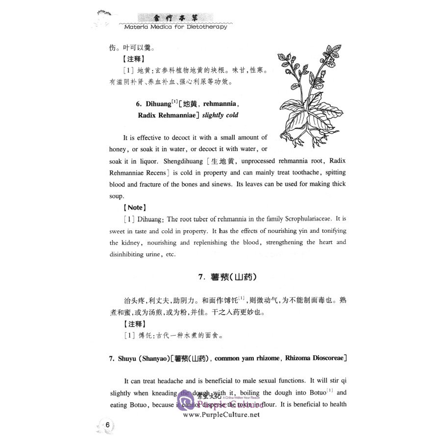 Sample pages of Materia Medica for Dietotherapy (ISBN:9787567229501)