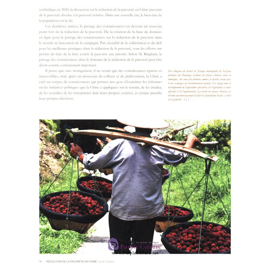 Sample pages of Reduction De La Pauverete En Chine (ISBN:9787119122540)
