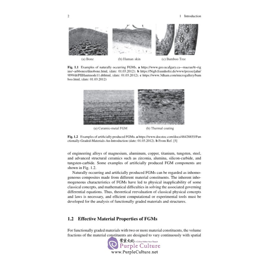 Sample pages of Analytical or Semi-analytical Solutions of Functionally Graded Material Structures (ISBN:9787030689993)