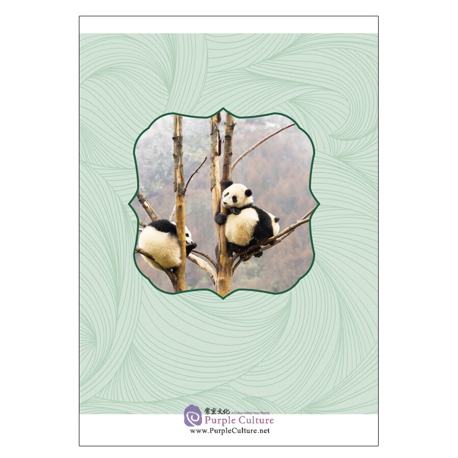 Sample pages of Giant Panda, the Century-old Legend of Living Fossi (ISBN:9787508545707)