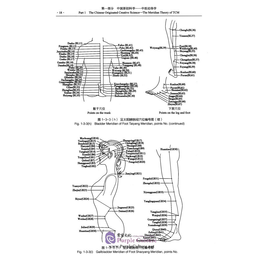 Sample pages of Theoretical Research and Practice of Chinese Medicinal Meridian (ISBN:9787117312035)